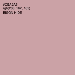 #CBA2A5 - Bison Hide Color Image